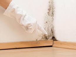 Best Mold Removal for HVAC Installations  in Grantley, PA